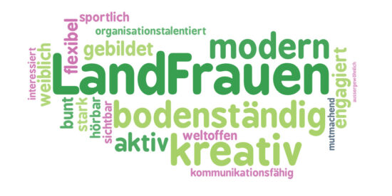 Vortrag Ernährung